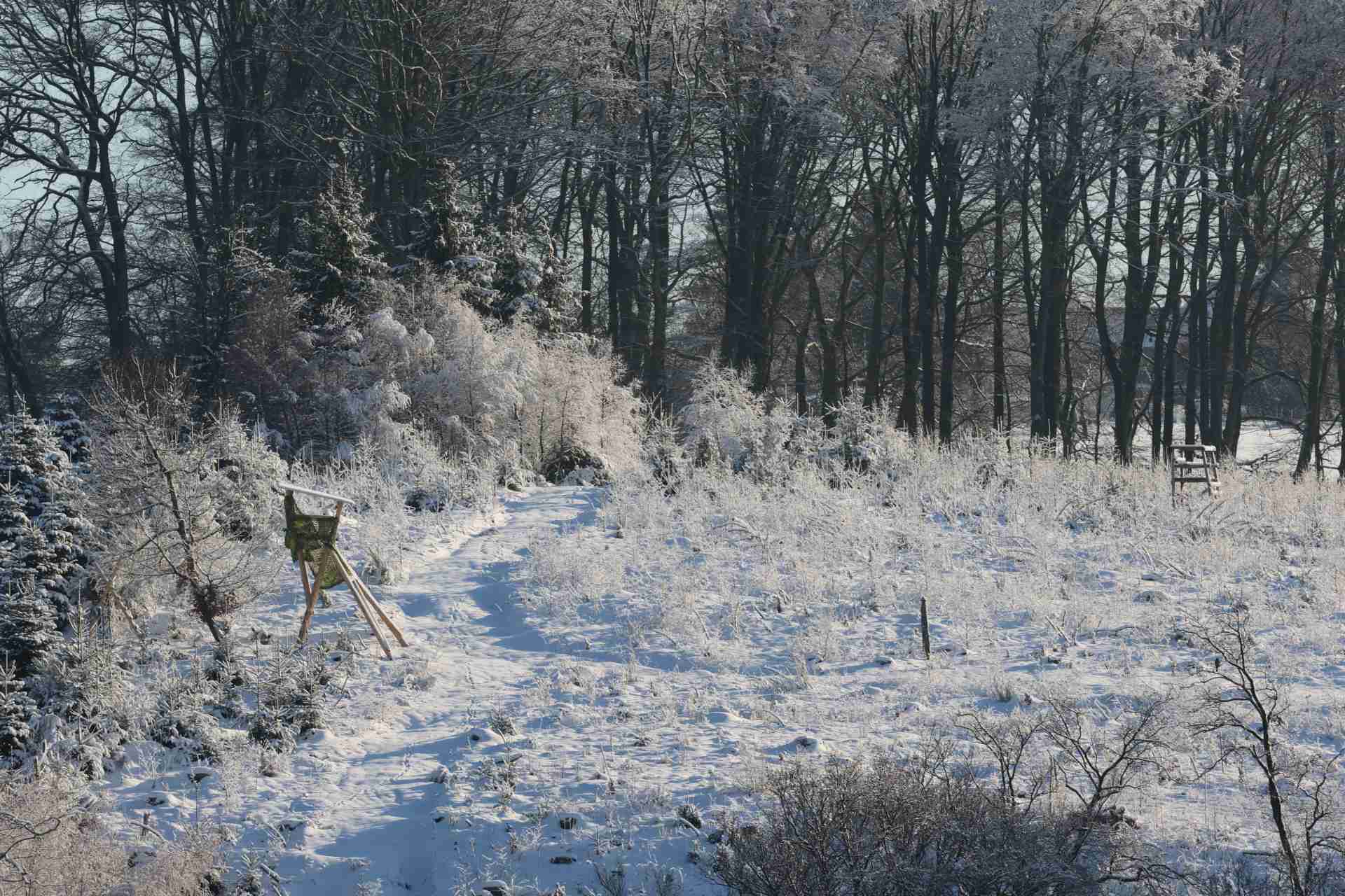 Schnee und Hochsitz am Weg