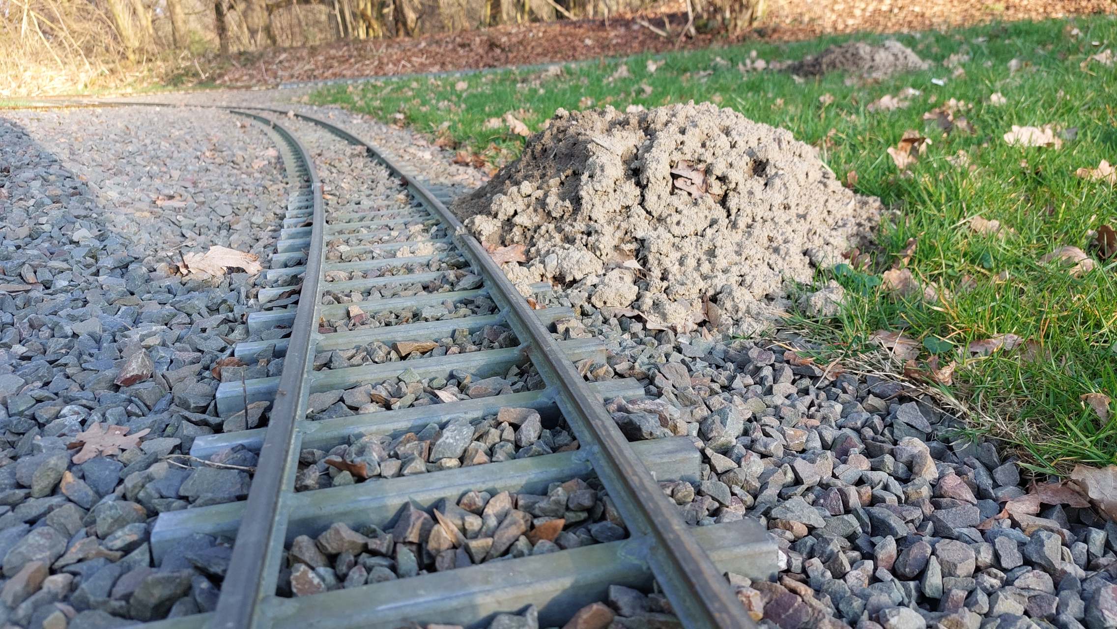 Maulwurfhaufen am Rand des Gleises