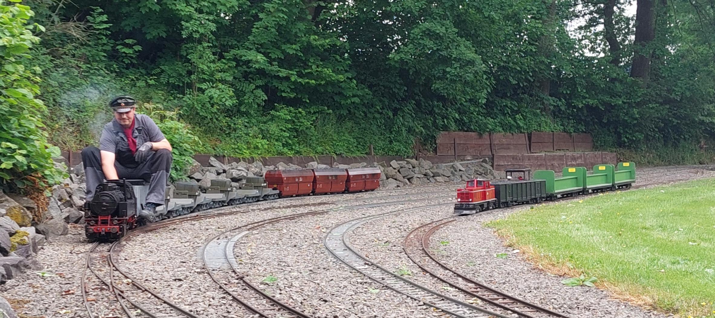 BR81 mit einem Güterzug